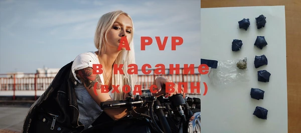 ECSTASY Каменка