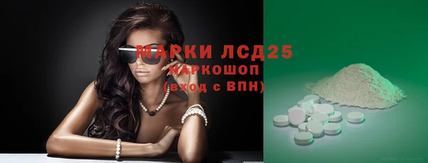 ECSTASY Каменка