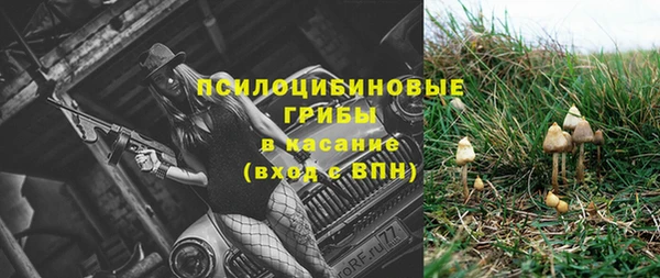 трава Каменногорск