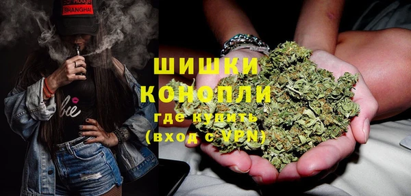 ECSTASY Каменка