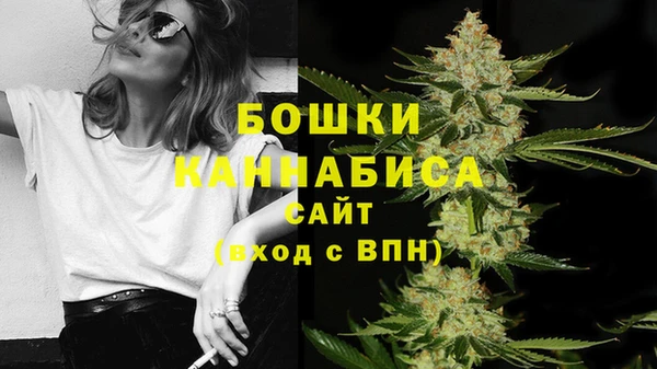 трава Каменногорск