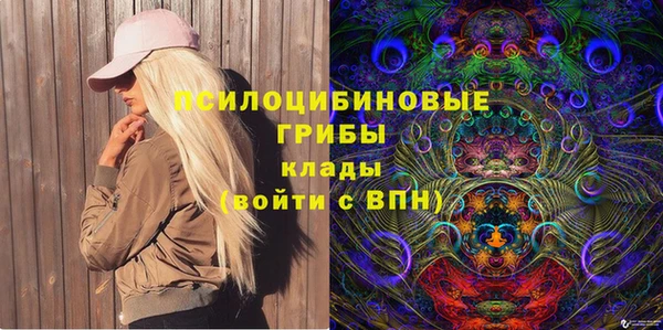 ECSTASY Каменка
