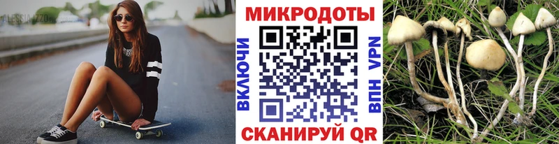 Купить закладки  Заринск  Галлюциногенные грибы MAGIC MUSHROOMS 